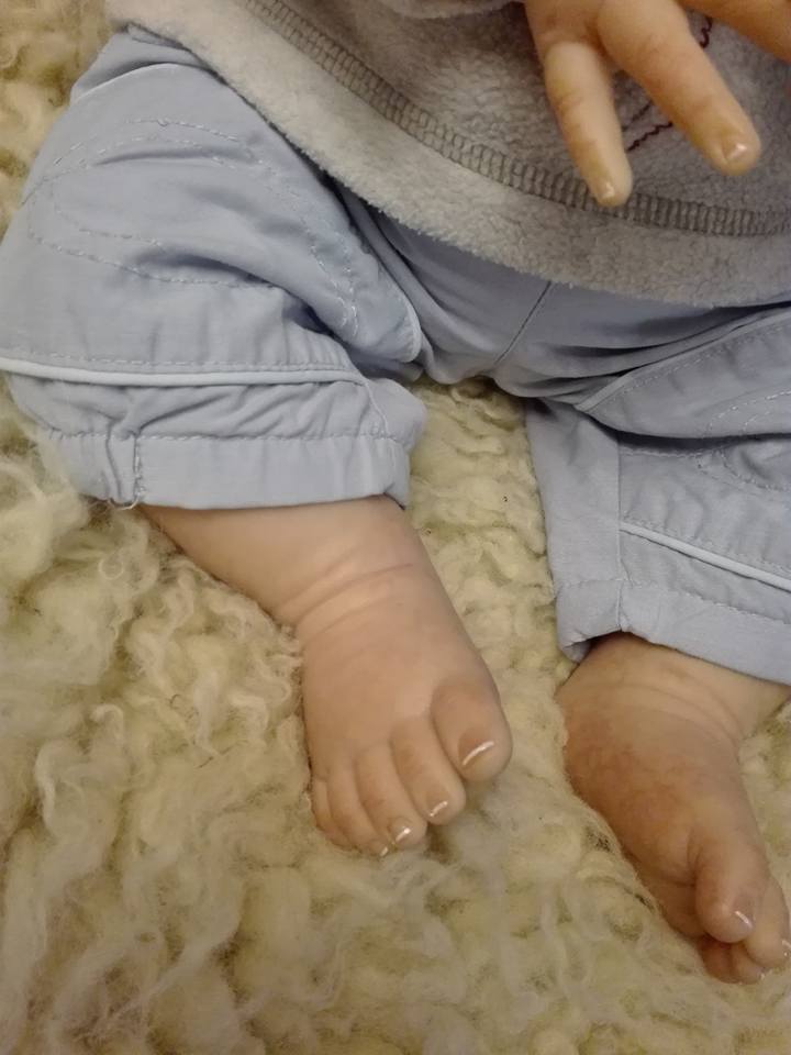 12745411_1135804989785507_3068535249713893175_n